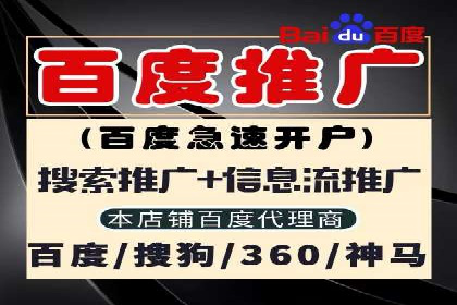 案例解析：百度推广排名提升的实战技巧
